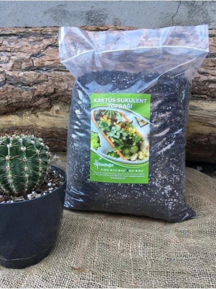 Kaktüs Toprağı 10 Lt Özel Karışım Sukulent Toprağı Aloe Vera Toprağı Kaktüs Harcı Teraryum Toprağı
