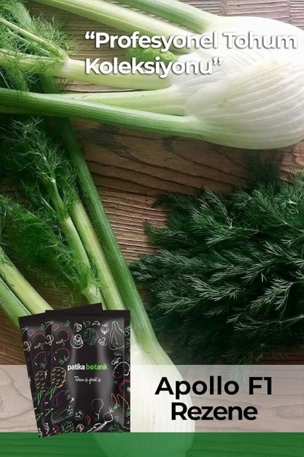 Botanik 50 Adet A*pollo Rezene Tohumu