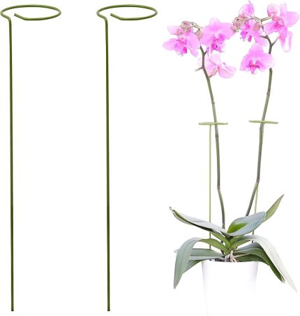 2'li paket sarmaşık yardımcısı, oda bitkileri için, yuvarlak, uzun bitkiler ve çiçekler için bitki desteği, bahçe için Monstera tırmanma yardımcısı, orkide, zambak, şakayık, biber vb. için bitki