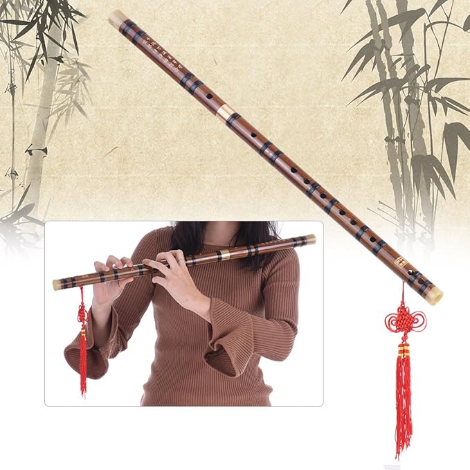 71DuUYTr5lL._AC_SX679_