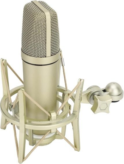 Kondenser Mikrofon Metal Podcast Için Taban