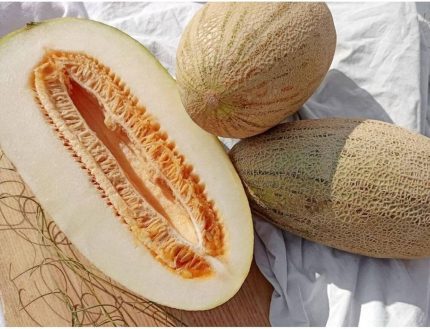 Dünyam 10 Adet Özbekistan Kavunu Tohumu