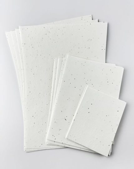 in a bag Papatya veya papatya tohumu ile kağıt | dikilebilir kağıt 150 gsm ve boyutu 10 x 15 cm (A6) | Kartlar, broşürler, menüler, davetiyeler için ekilebilir kağıt (25)