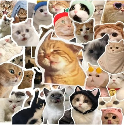 Major Selection 100'Li Çılgın Kedi Sticker Set Laptop Notebook Tablet Sticker Seti