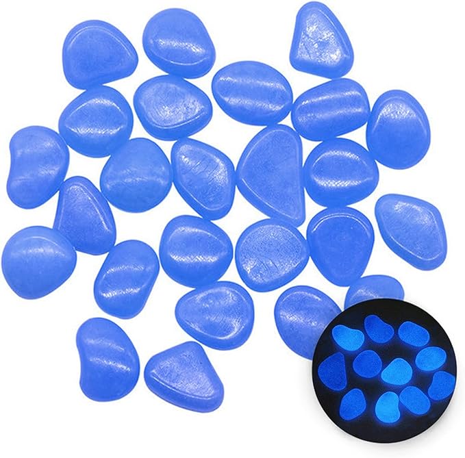 71Ks6XRDPsL._AC_SX679_