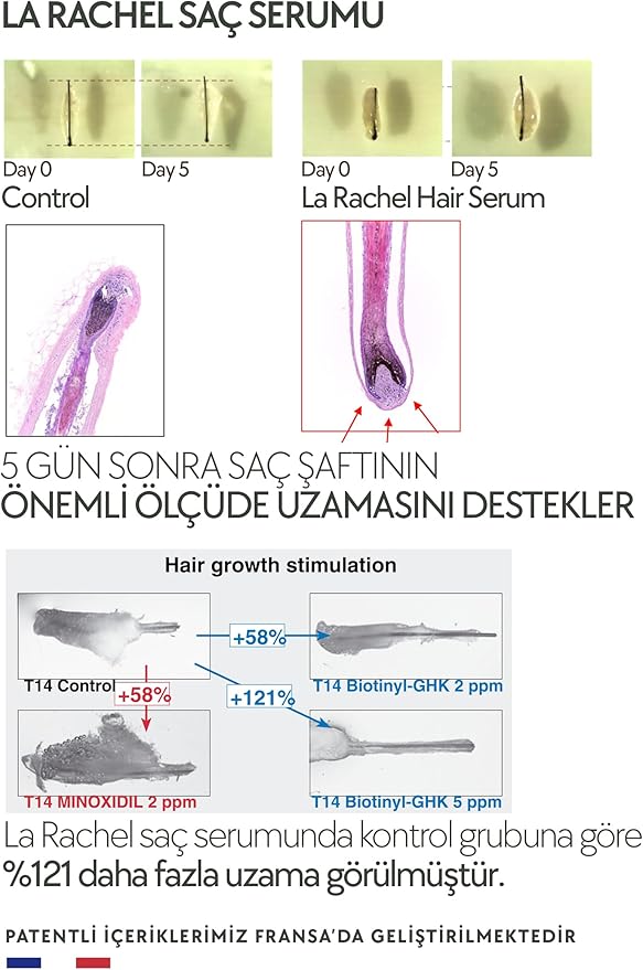 Dökülmesine Karşı Geliştirilmiş Patentli İçeriğe Sahip Serum. Procapil + Biotin + Apigenin – Erkek ve Kadınlar İçin Yeni Saç Oluşumunu Destekler – 50 ml - Görsel 5