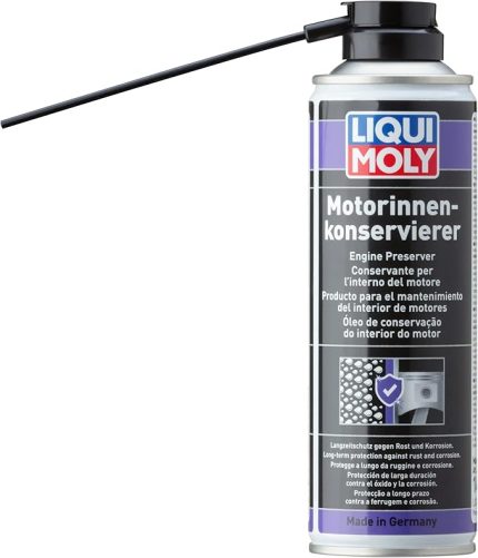 Moly Motorinnenkonservierer 300 ml Otomotiv Bakım Ürünü