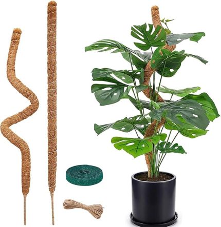 desteği, Monstera için 120 cm yosun çubuğu, iç mekan için bükülebilir bitki desteği, Monstera tırmanma yardımı, sarmaşık bitkilerin yukarı doğru büyümesi için, iç mekan tırmanma bitkileri için