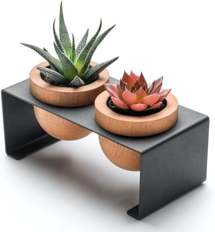 Metal Stantlı 2’li Skulent Saksısı – Siyah Metal Stant ve Meşe Saksılar, Modern Tasarım, Dekoratif Çiçek Saksılığı, Skulent ve Kaktüs İçin Şık Saksı, Ev ve Ofis Dekoru (Siyah)