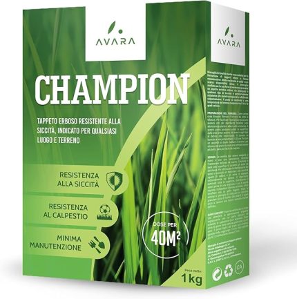 Champion çim tohumu [kuru dayanıklı] – basmaya dayanıklı ve dayanıklı çim tohumu – dayanıklı ekim sonbahar – hızlı çimlenen çim tohumu Turbo – 10 m²