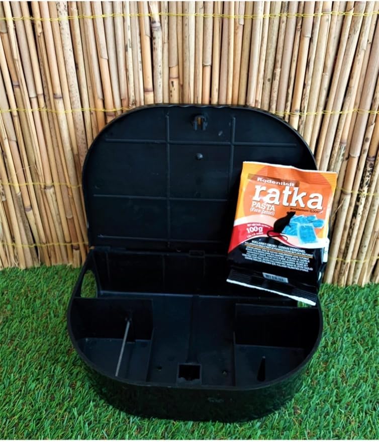 71UvS3AbojL._AC_SY879_