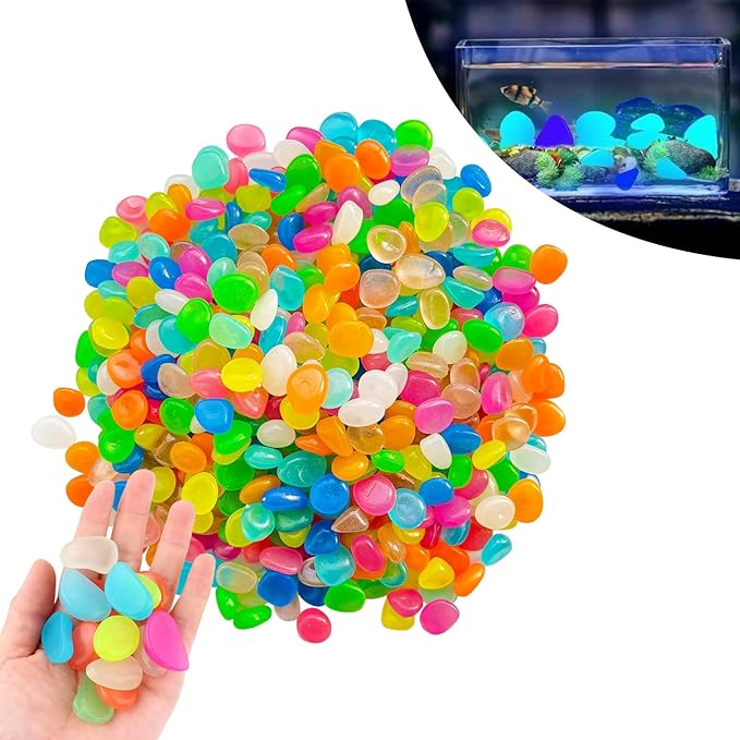 71c9xeuCdvL._AC_SX679_