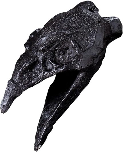 çığlık atan Aztek düdüğü, Aztek düdüğü, antik Aztek düdüğü, Aztek düdüğü, geleneksel ölüm düdüğü, tarihi Aztek Artifact, Haunting Sound düdüğü, kültürel ölüm düdüğü