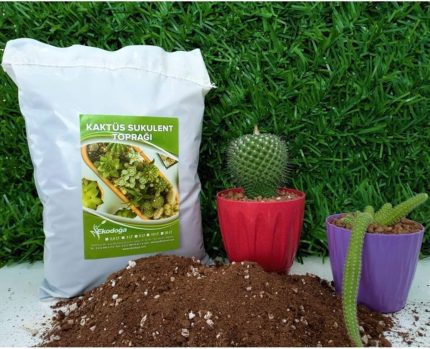 Toprağı 10 Lt Sukulent Toprağı Aloe Vera Toprağı Ithal Torf Pomza Perlit Vermikulit Karışımı