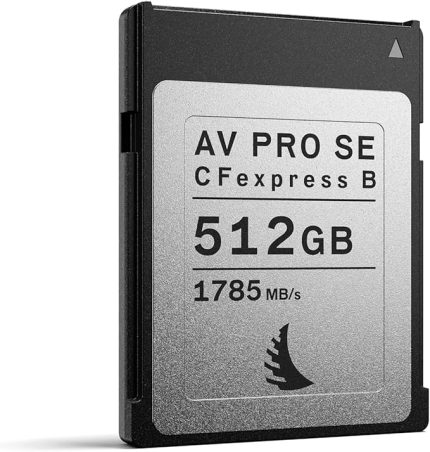 PRO CFexpress SE Type B 512 GB AVP512CFXBSE siyah/gümüş