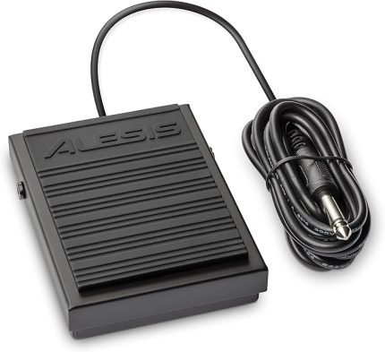 ASP-1 MKII Evrensel Sustain Pedalı