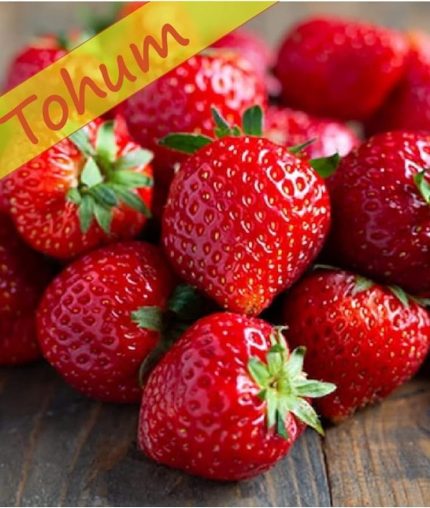 TARIM YERLİ DOĞAL ÇİLEK YEDİVEREN 0,1 GRAM TOHUM