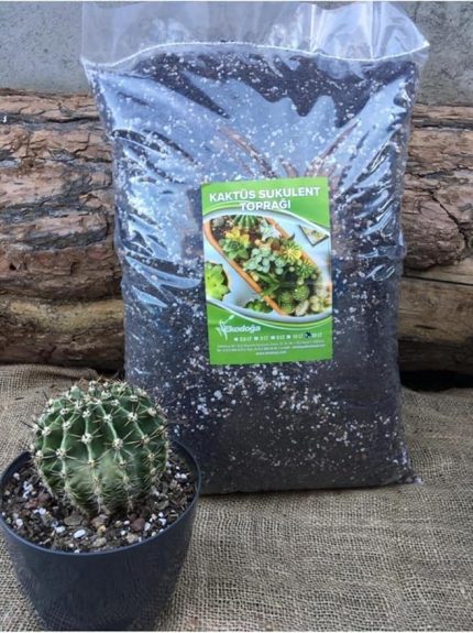 Kaktüs Toprağı 20 Lt Özel Karışım Sukulent Toprağı Aloe Vera Toprağı Kaktüs Harcı Teraryum Toprağı