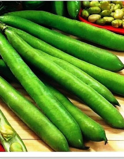 TARIM ATA TOHUMU YERLİ BAKLA SEVİLLA 30 ADET TOHUM