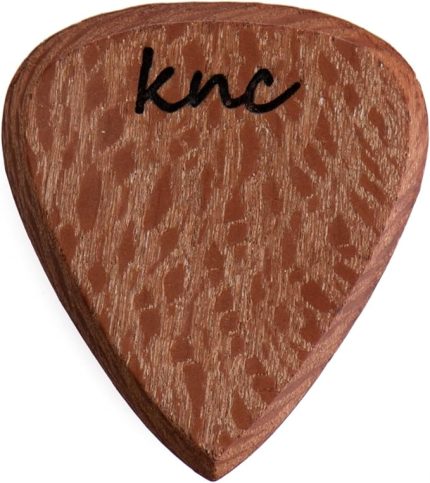 Picks Gitar Penaları (Heavy, Çınar Standart)