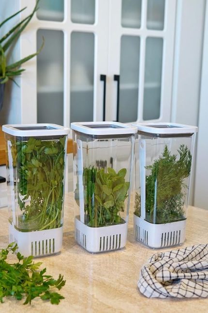 Ahmet Yeşillik Saklama Kabı 3'lü Eko Set 1,7 Litre