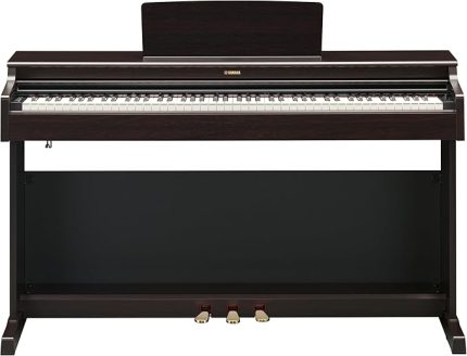 R Dijital Piyano