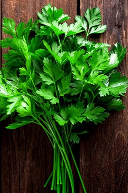 Maydanoz Tohumu 100 Adet Tohum