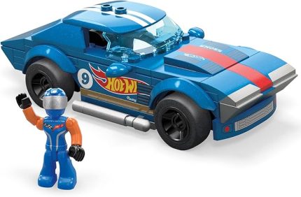 Hot Wheels Yarışçı Arabalar Koleksiyonu HHL94-HHL95