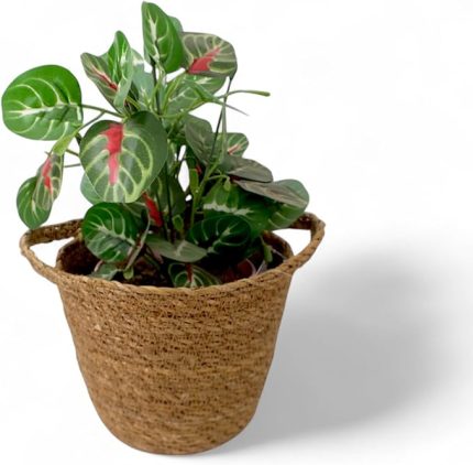 El Yapımı Çift Kulplu Hasır Saksılık | İç Koruma Poşetli, Doğal ve Dekoratif Çift Kulplu Saksı | Bitkileriniz İçin Rustik Tasarım (17cm) - Deconox El Yapımı Çift Kulplu İç Koruma Poşetli.