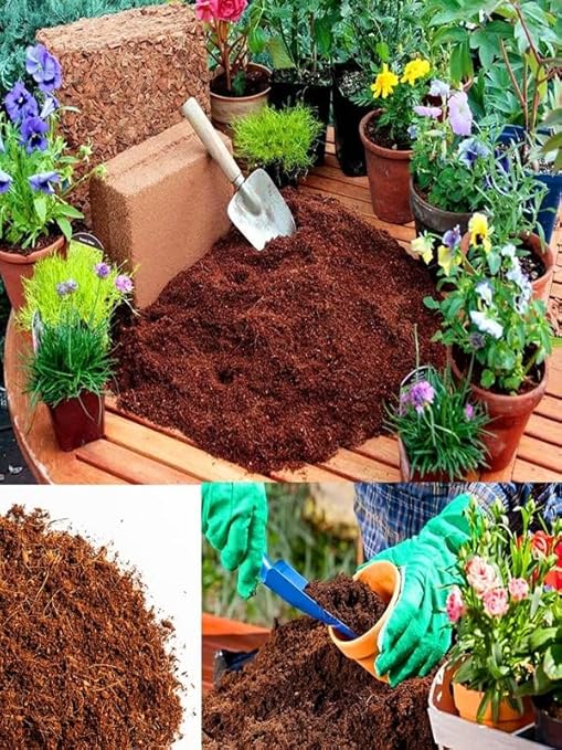 Cevizi Torfu%100 Doğal Torf - Cocopeat Hindistan Cevizi Lifi - Doğal Bitki Toprağı 1 Lt - Görsel 3