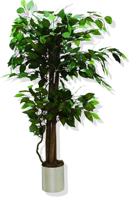 Ağaç Benjamin 100 cm Metal Saksıda