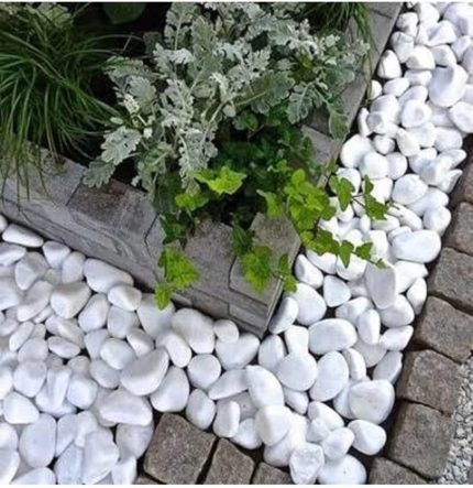 Beyaz Dolomit Taş 10 Kg 4-6 Cm Dekoratif Taş Bahçe Süs Taşı Doğal Dere Çakıl Taşı