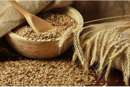 Buğday 1 Kg Doğal Buğday Hormonsuz Ilaçsız Buğday Tavuk Yemi Güvercin Yemi Buğday Tohumu Buğday Çimi