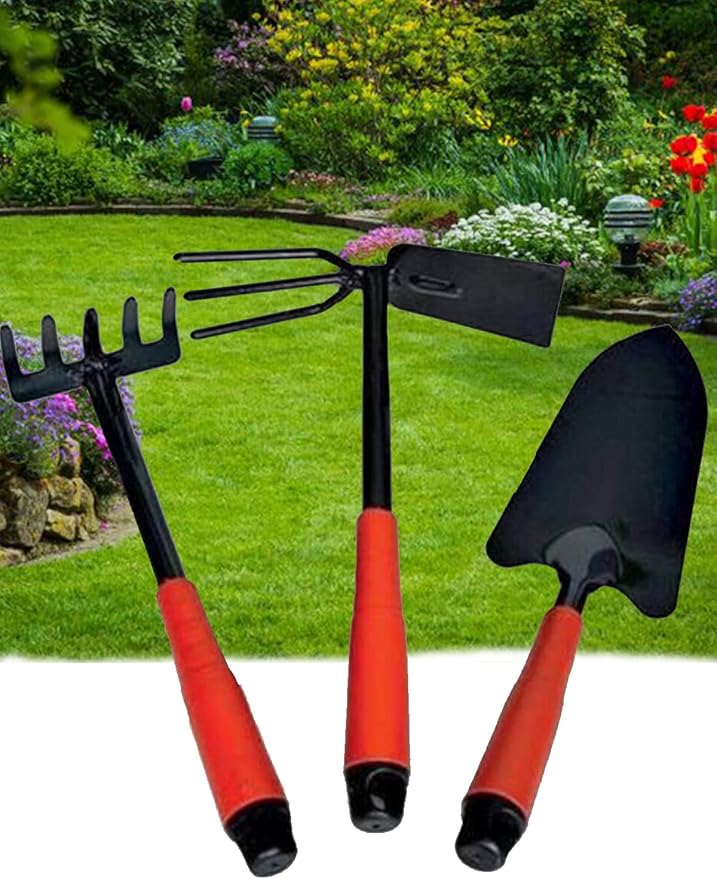 71t7pBgqrVL._AC_SY879_