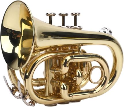 BB Düz pirinç Trompet, 7c Ağızlık, Temizlik Bezi, Eldiven, kayış, Sert Kasa, Yeni Başlayanlar, öğrenciler Ve Profesyoneller Için Kompakt Trompet