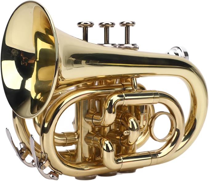 71uA1pHlhFL._AC_SX679_