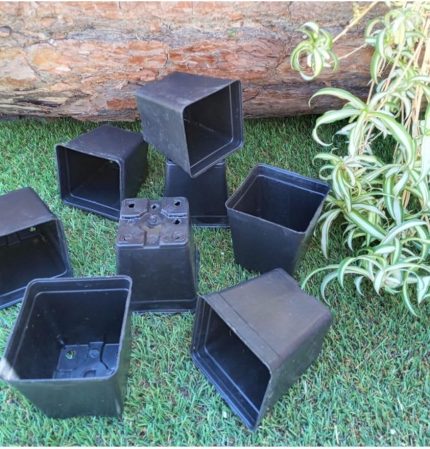 Kare Saksı 0,23 Lt 7X7,5 Cm 60 Adet Üretim Saksısı Siyah Saksı Kare Üretim Saksı Plastik Saksı
