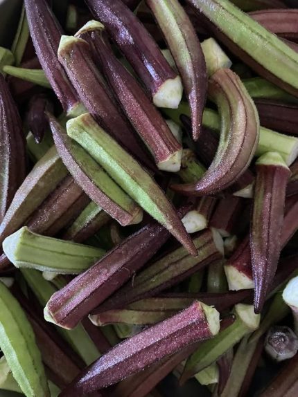 Garden Doğal Kınalı Bamya Tohumu 100 Ad. Tohum