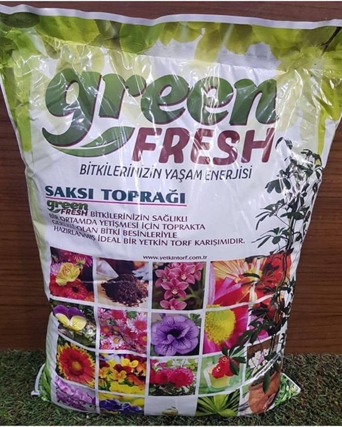 71uiQxTYOKL._AC_SY879_