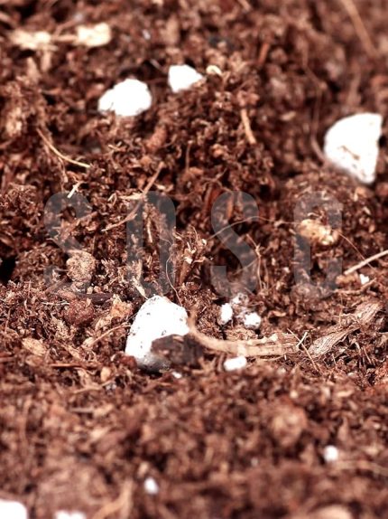 Mix Ithal Torf Cocopeat Perlit Özel Karışım Saksı Harcı Çiçek Ve Bitki Toprağı 3 LT