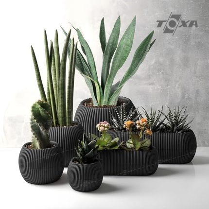 6 Parça Mercan Saksı Seti (Antrasit)