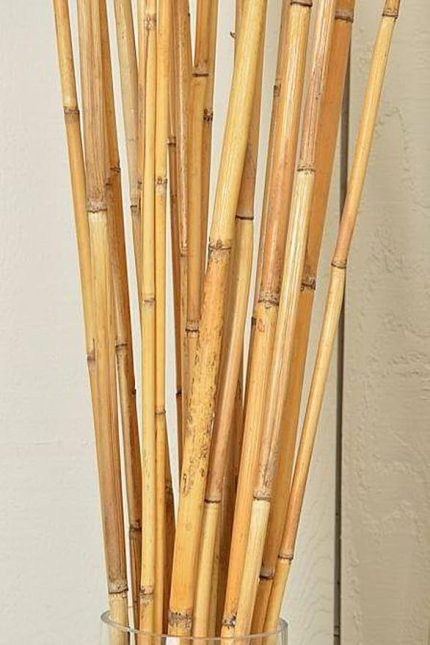 10'lu Bitki Destek Çubuğu 100cm Boyunda