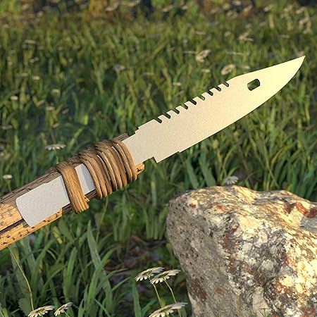 815Kf1FdoJL._AC_SY450_