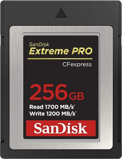 Extreme Pro CFexpress hafıza kartı Tip B 256 GB (1.700 MB/s okuma, 1.200 MB/s yazma, RescuePRO Deluxe, sorunsuz RAW videolar, 4K, XQD uyumluluğu)