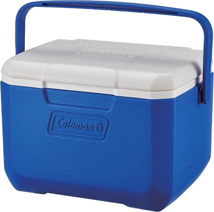 Performance 6 Personal Khlbox, passive kleine Thermobox fr Essen und Getrnke, Eisbox mit Griff, Khlleistung bis zu 9 Stunden