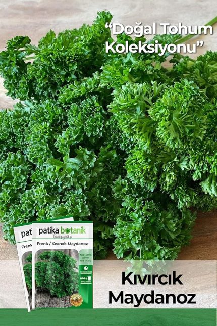 Botanik 2500 Adet Frenk/Kıvırcık Maydanoz Tohumu