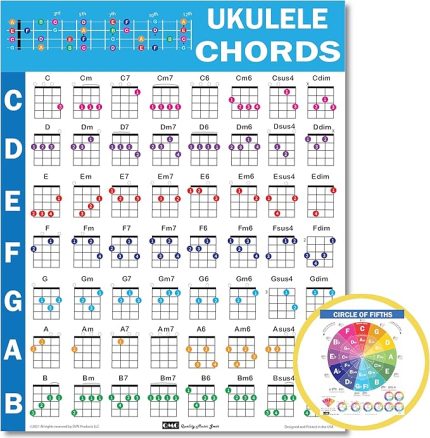 Akorlar CheatSheets (Ukulele) - Ukulele Akor Posteri Başlangıç, Lamine Ukulele Akor Tablosu, Beşinci Çember, Müzik Teorisi için Ukulele Akorları Tablosu, Ukulele Hile Tabloları Paketi A4 (8,5 x 11)