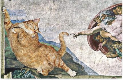 Kedi Köpek Komik Tasarımlı Dekoratif Kapı önü Paspas, Dış Mekan/Ev İçi/Banyo/Mutfak/Yatak Odası/Giriş Paspasları (Kedinin Yaratılışı, 45x70)