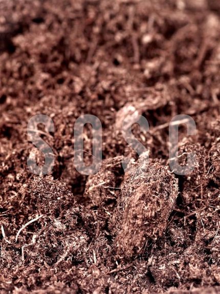 Sphagnum Bitki Yetiştirme Torfu - Böcek Sinek Yapmaz Premium Kalite 10 Lt