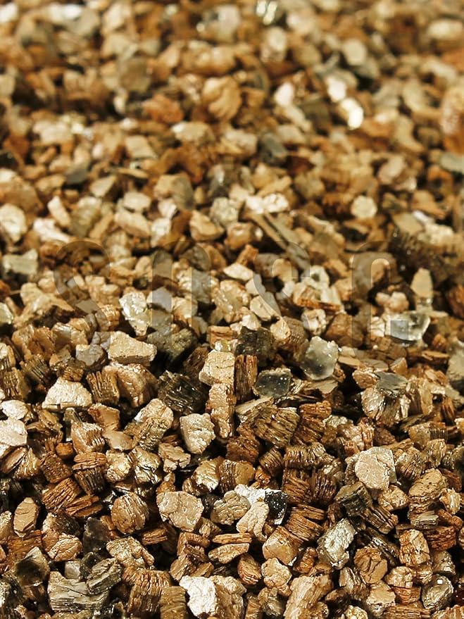 81Rh-KVjiGL._AC_SY879_